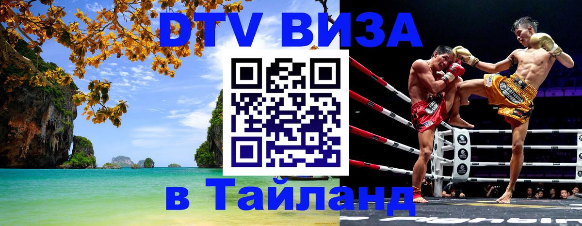 Оформление DTV визы под ключ: стоимость и тарифы, только загранпаспорт - Сараево 